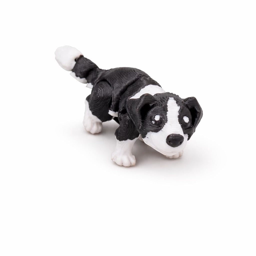 Miniature Sheep Dog