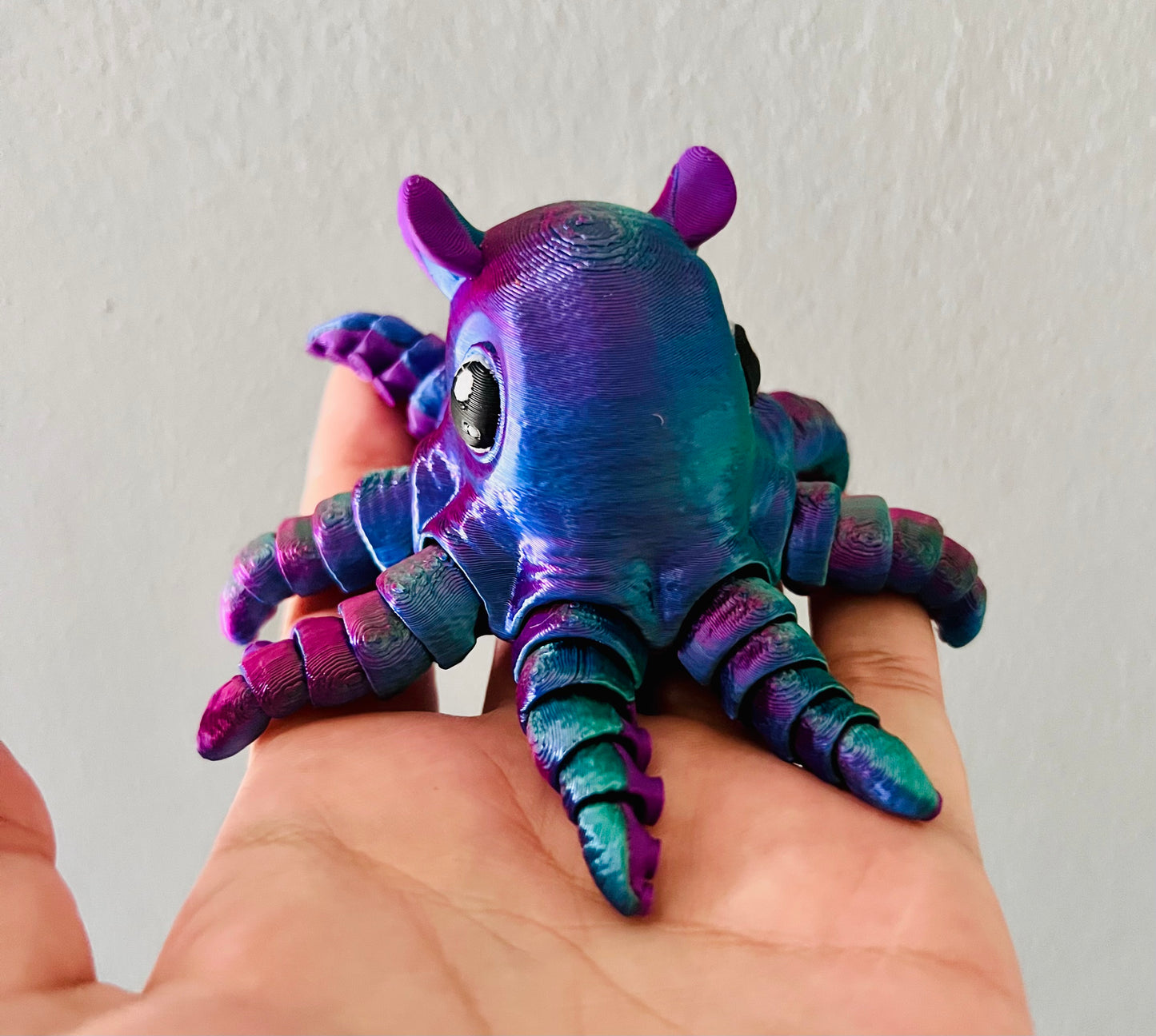 Flapjack Octopus