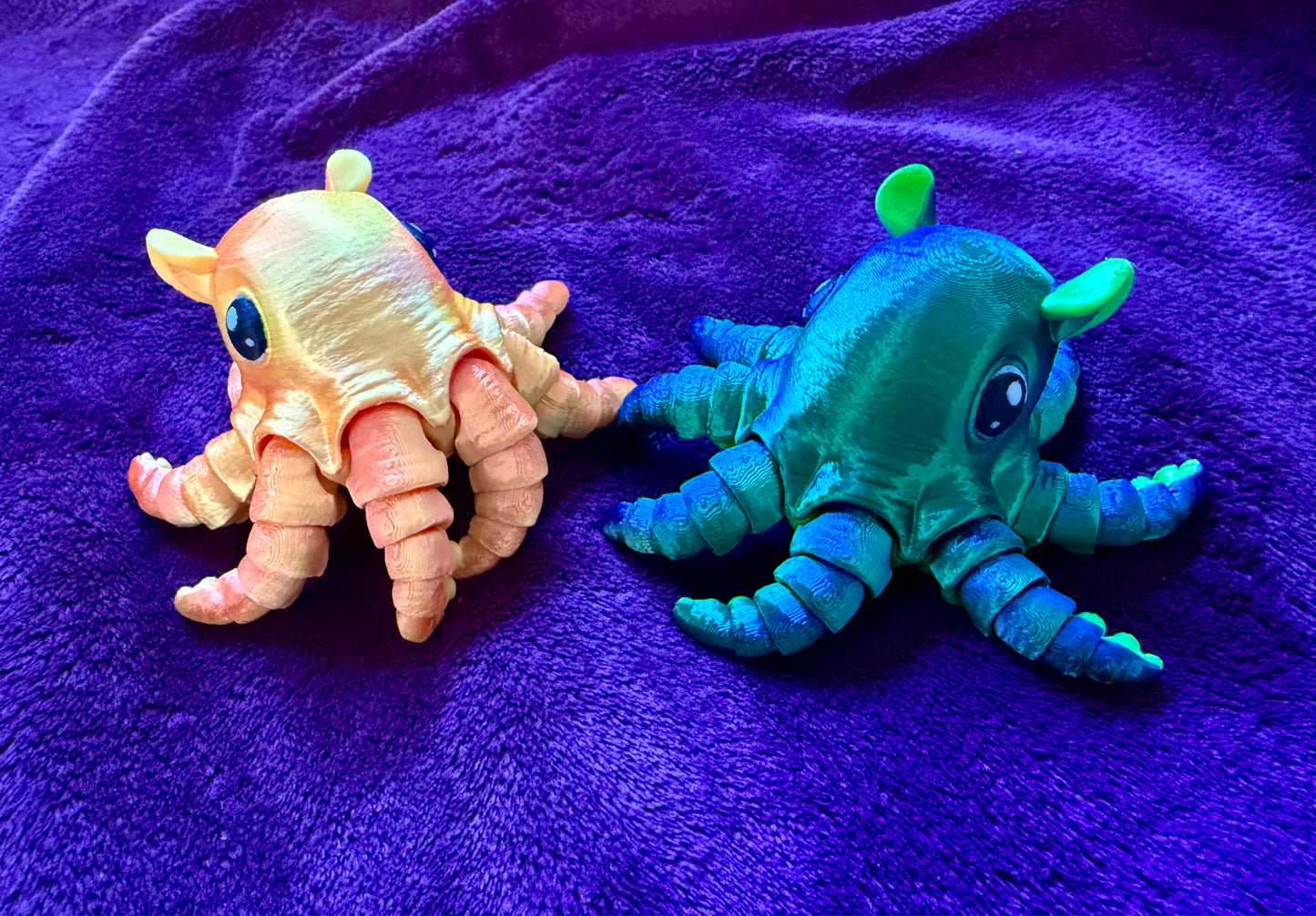 Flapjack Octopus