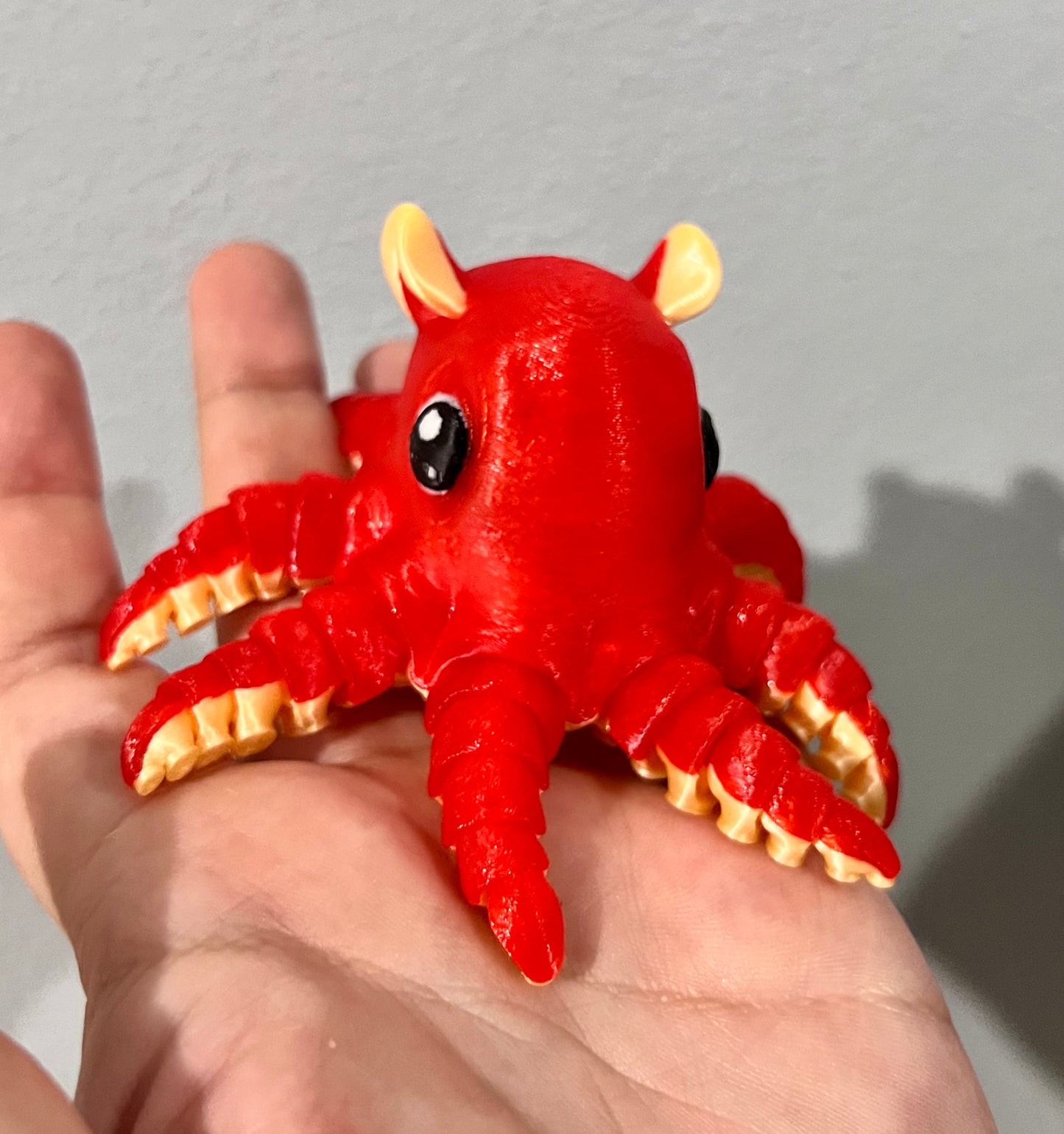 Flapjack Octopus